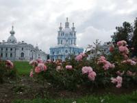 Rosenbeet vor Smolny Kathedrale in St. Petersburg